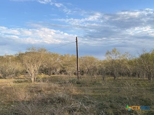 14.58 acres in DeWitt County - photo 6