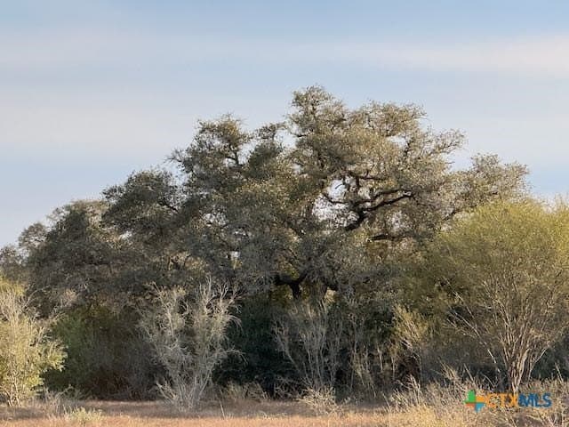 14.58 acres in DeWitt County - photo 4