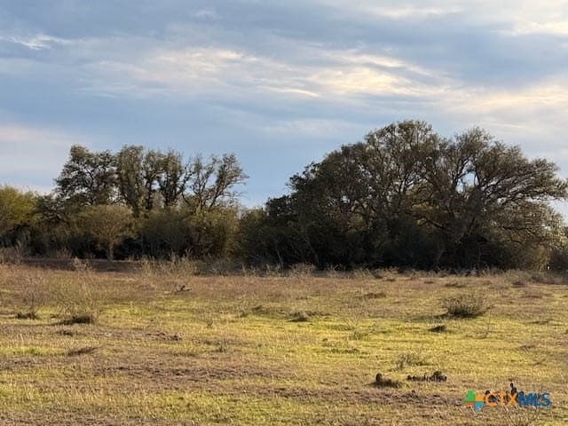 14.58 acres in DeWitt County - photo 5