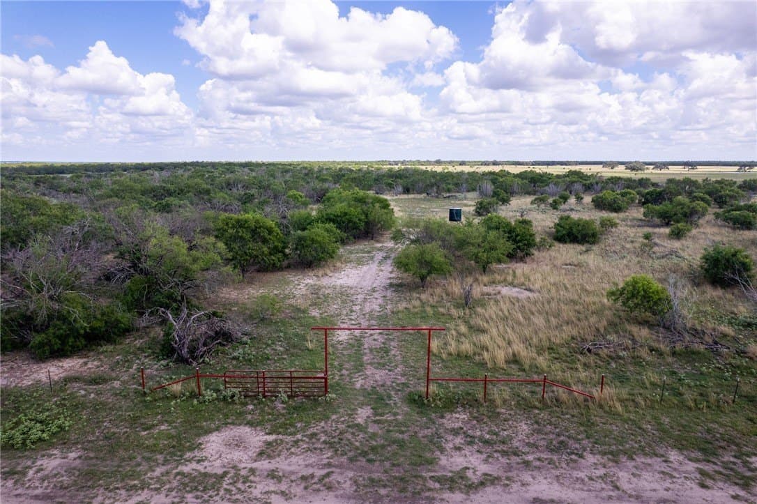 200.39 acres in Live Oak County - photo 13