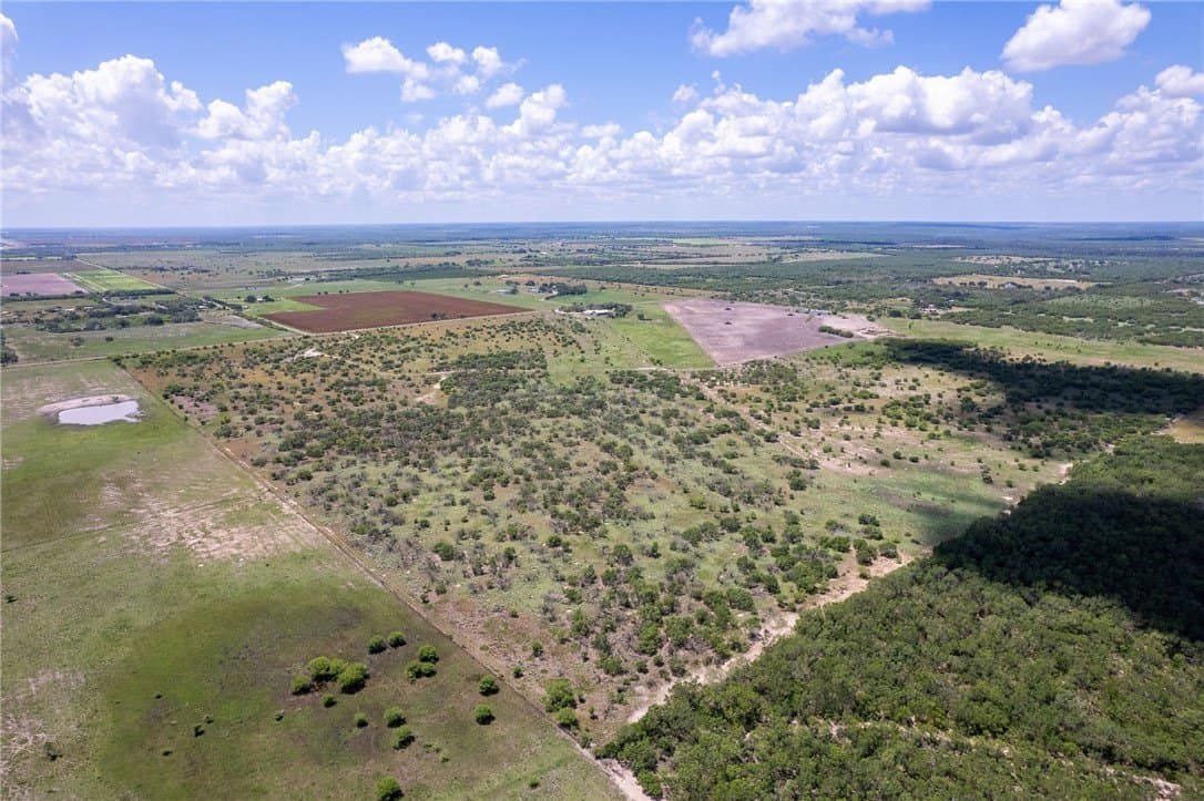 200.39 acres in Live Oak County - photo 11