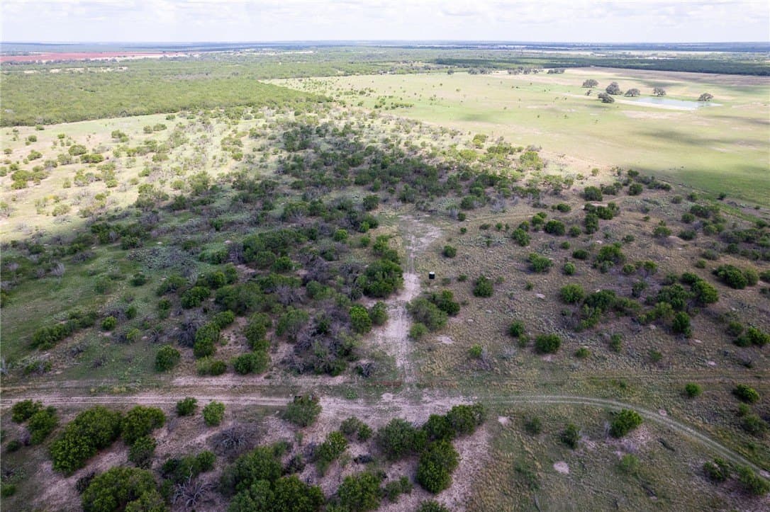 200.39 acres in Live Oak County - photo 12