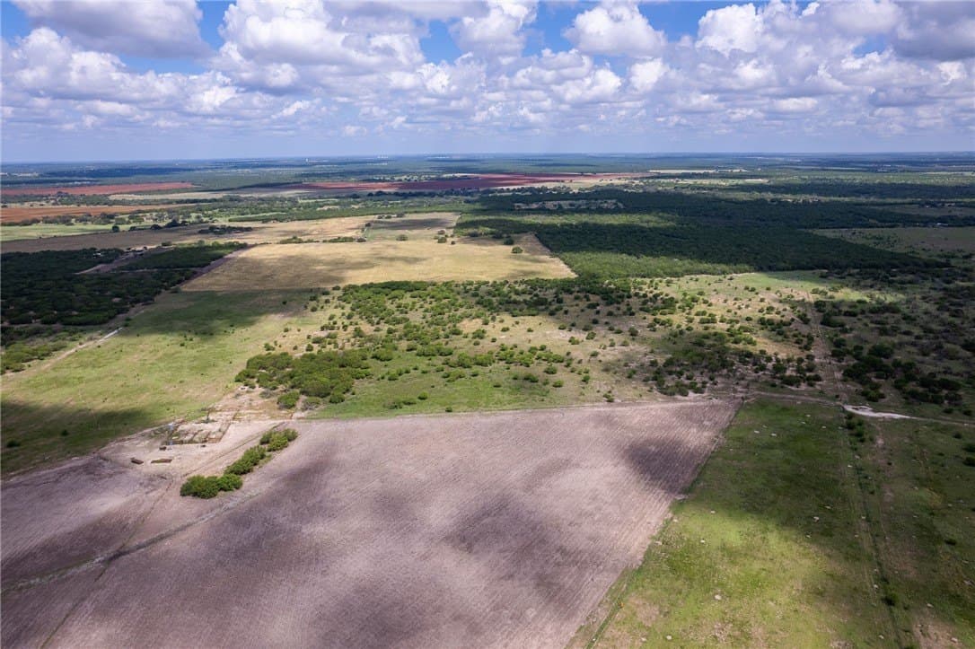 200.39 acres in Live Oak County - photo 10