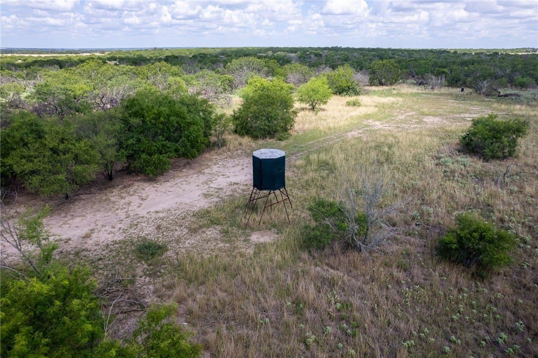 200.39 acres in Live Oak County - photo 18