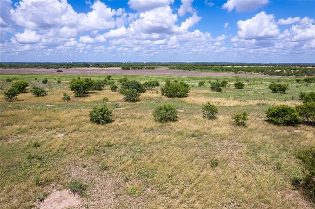 200.39 acres in Live Oak County - photo 17
