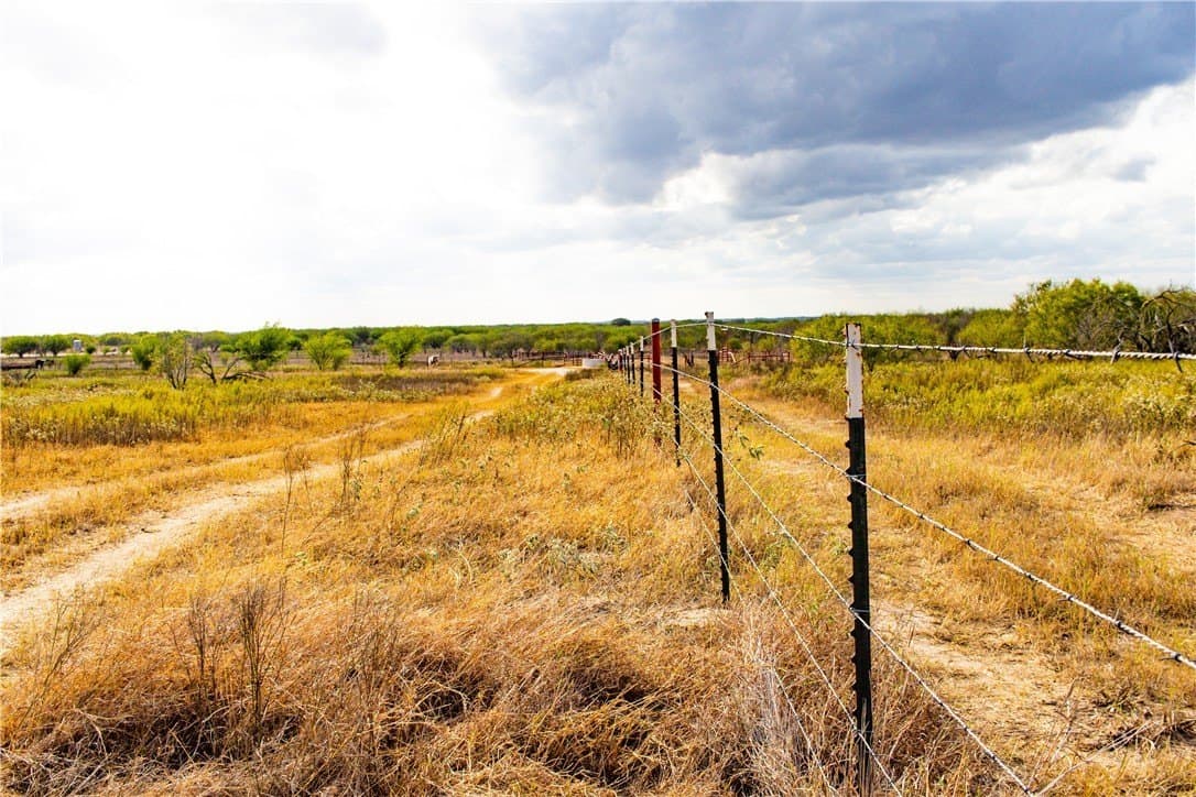 200.39 acres in Live Oak County - photo 3