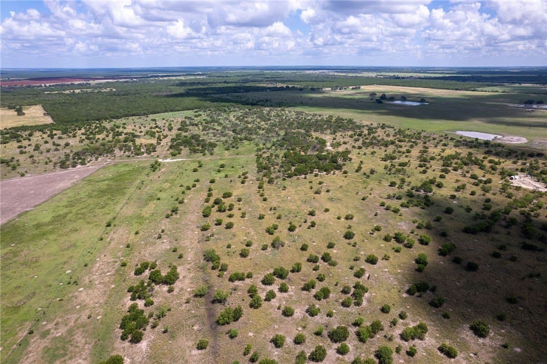 200.39 acres in Live Oak County - photo 16