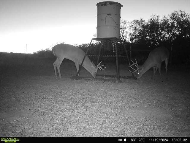 200.39 acres in Live Oak County - photo 19