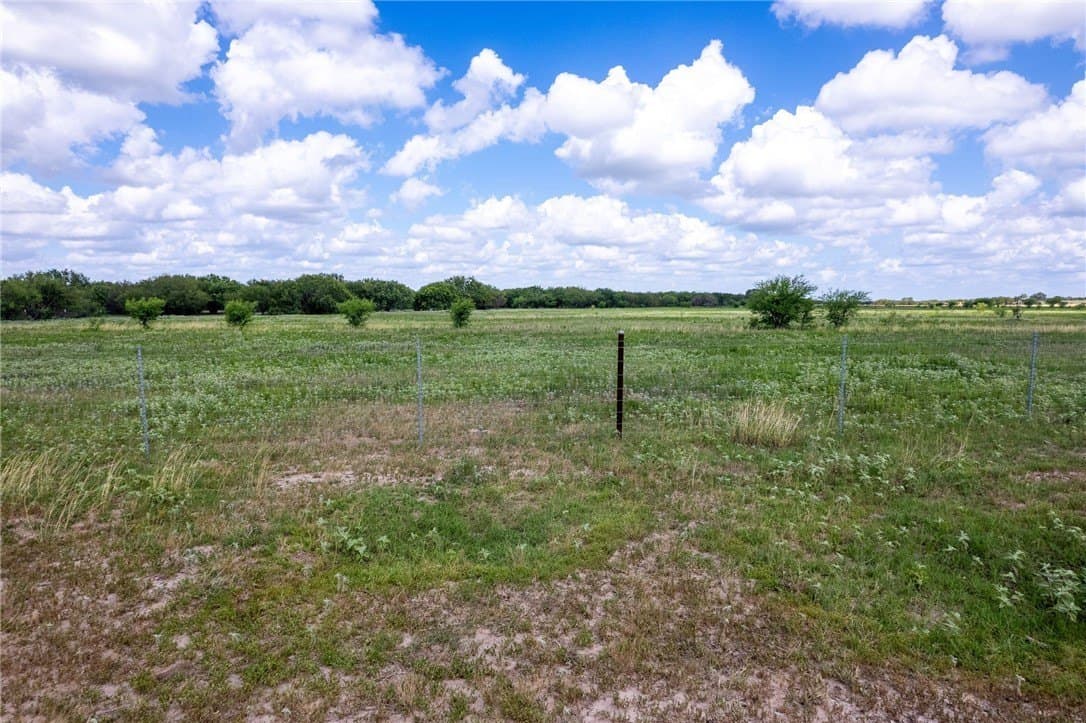 200.39 acres in Live Oak County - photo 5