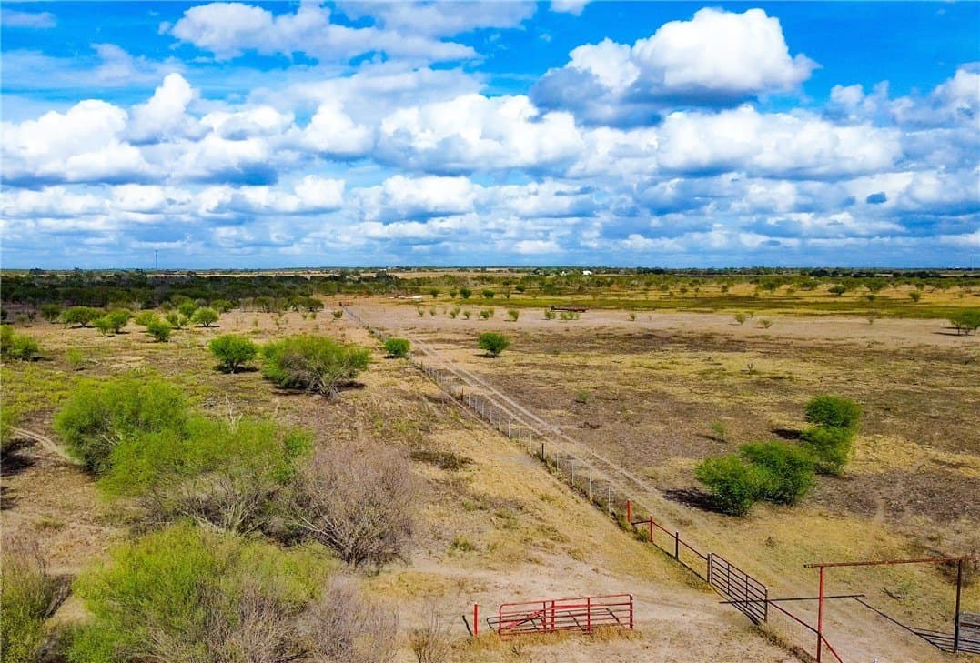 200.39 acres in Live Oak County - photo 9