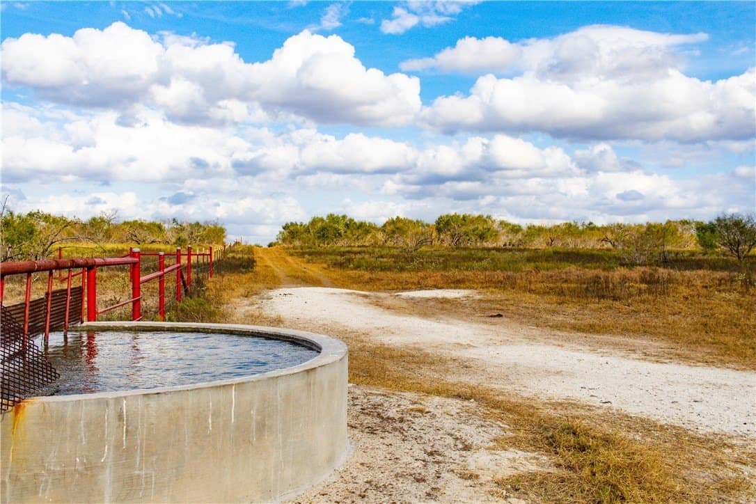 200.39 acres in Live Oak County - photo 25