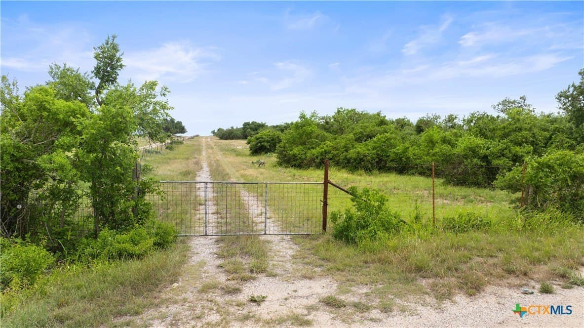 219.46 acres in Gillespie County - photo 2