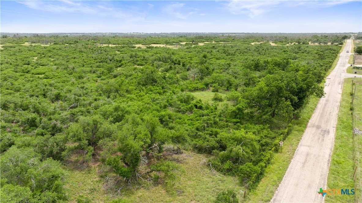 219.46 acres in Gillespie County - photo 5