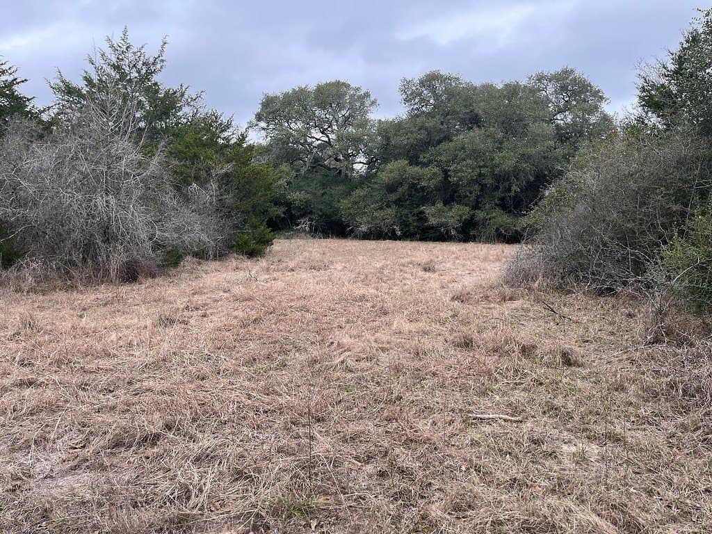 48.74 acres in Lavaca County - photo 4