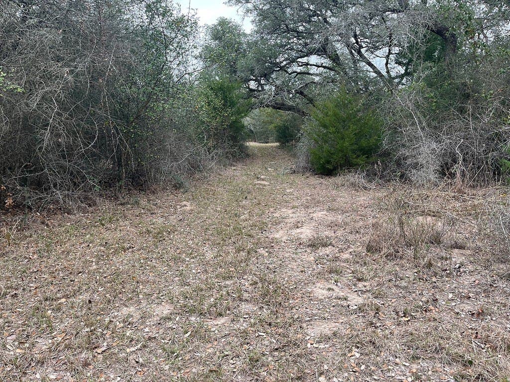 48.74 acres in Lavaca County - photo 9
