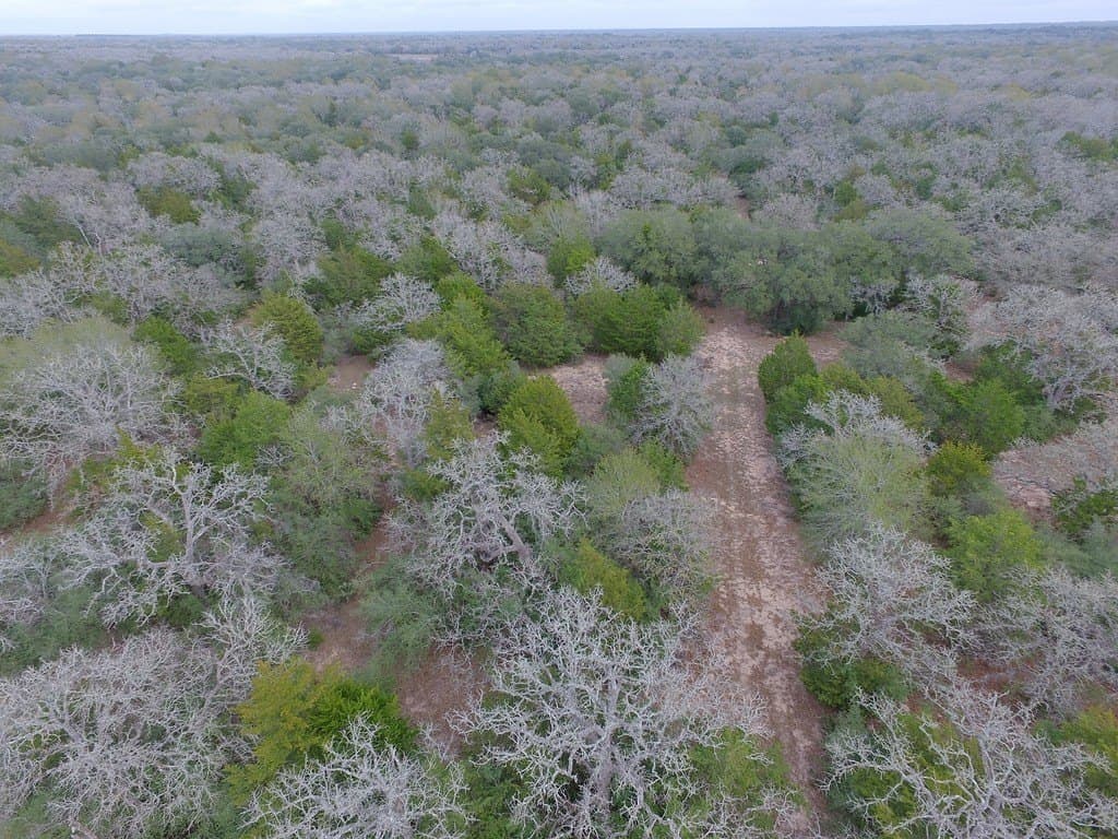 48.74 acres in Lavaca County - photo 10