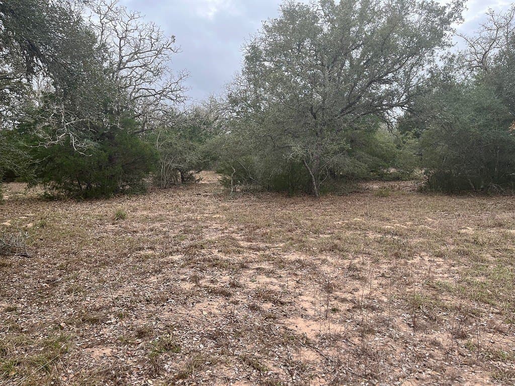 48.74 acres in Lavaca County - photo 8