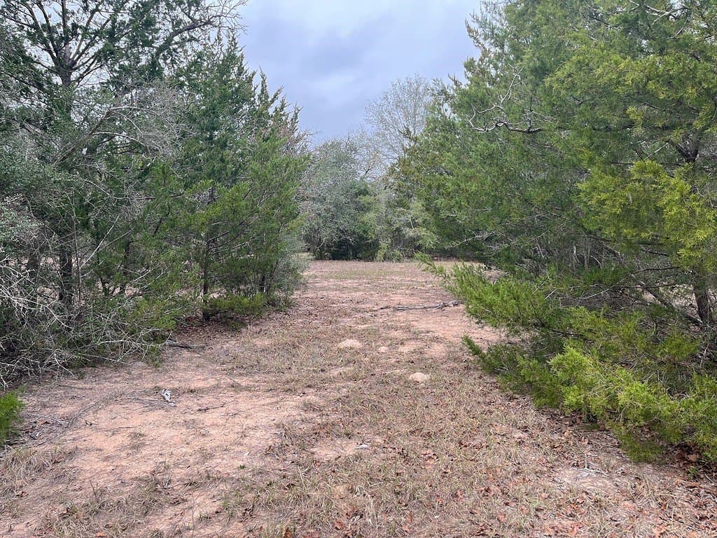 48.74 acres in Lavaca County - photo 22