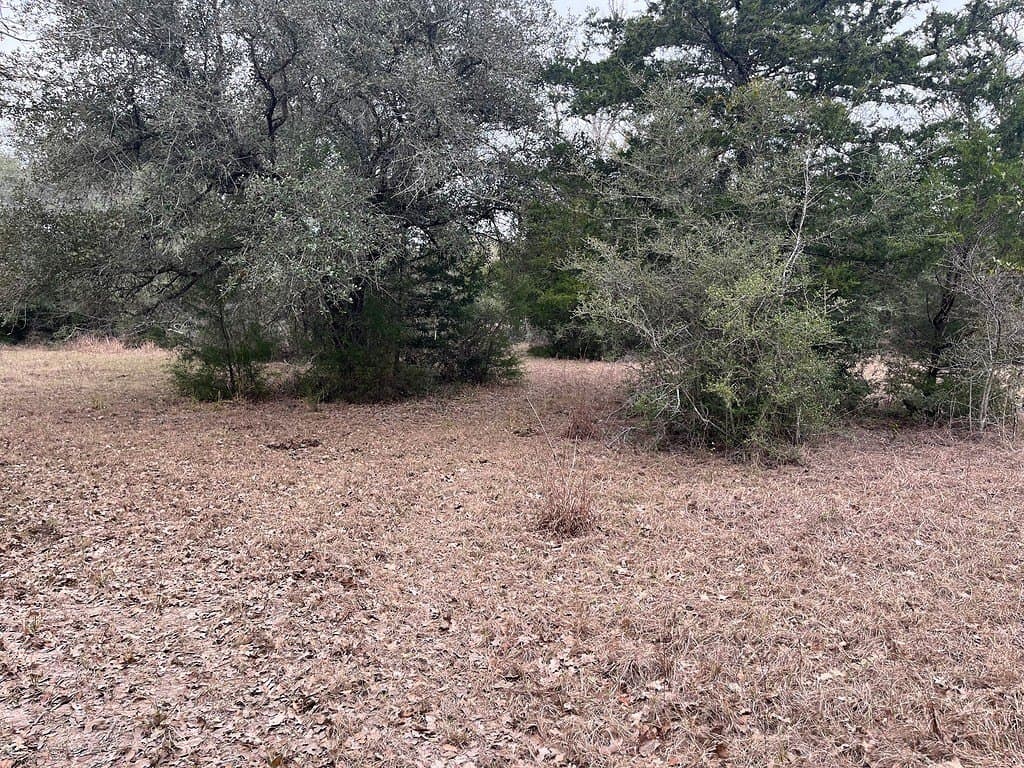 48.74 acres in Lavaca County - photo 11