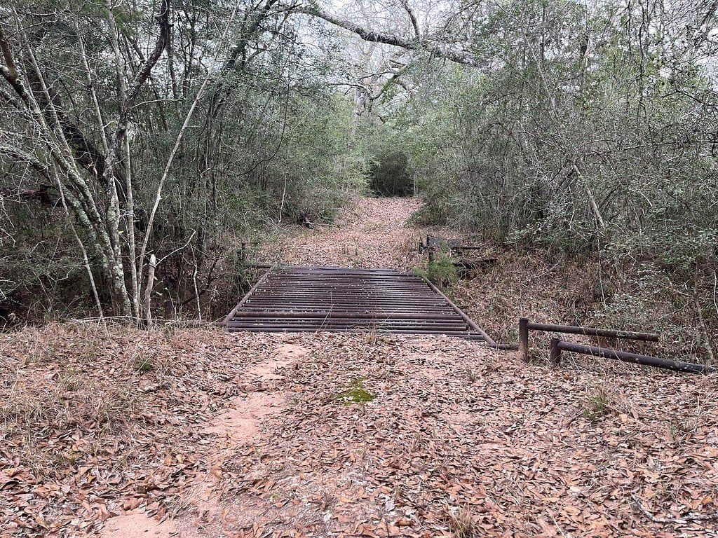 48.74 acres in Lavaca County - photo 12