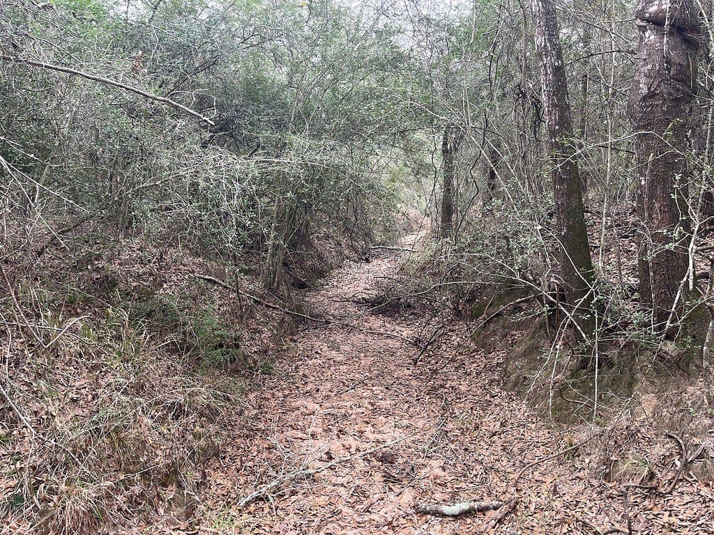 48.74 acres in Lavaca County - photo 13