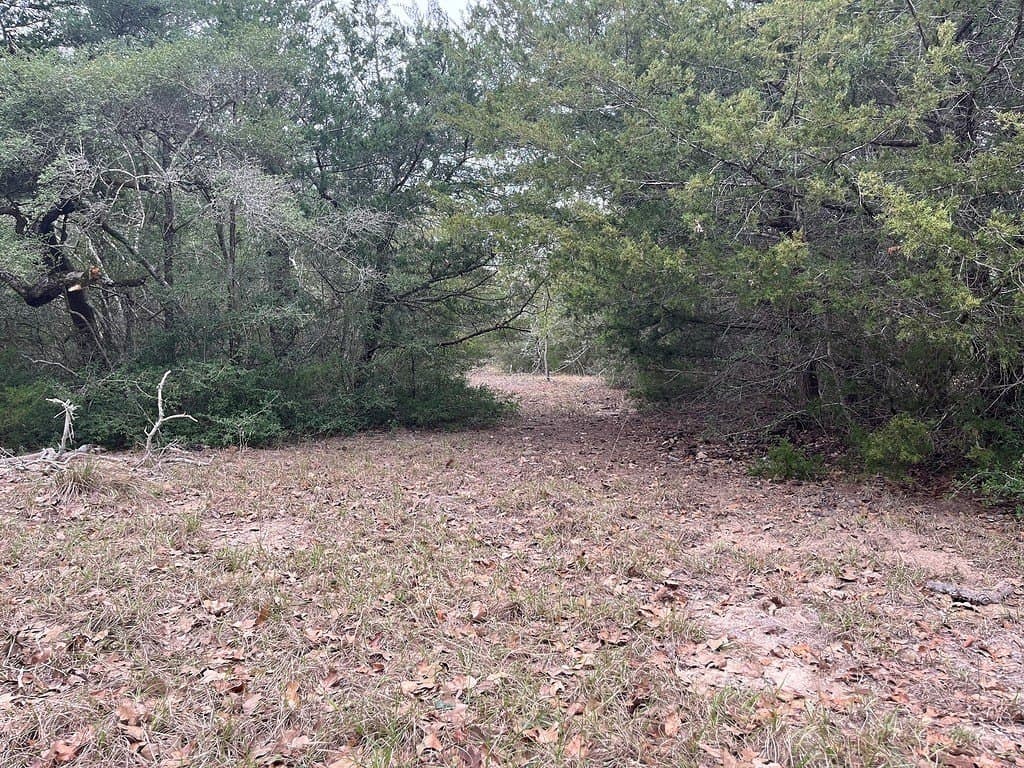 48.74 acres in Lavaca County - photo 23