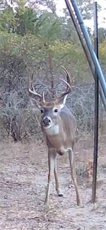 48.74 acres in Lavaca County - photo 29