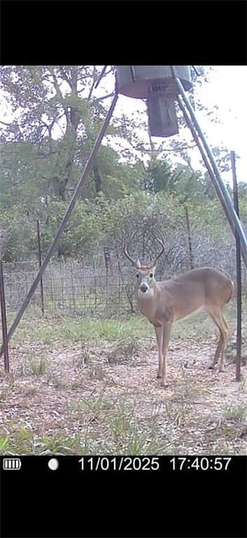 48.74 acres in Lavaca County - photo 28