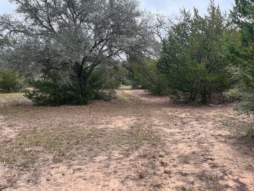 48.74 acres in Lavaca County - photo 21