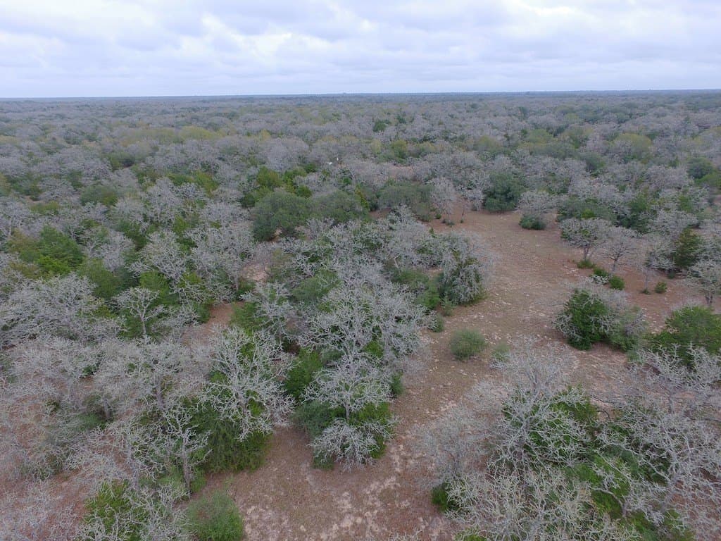 48.74 acres in Lavaca County - photo 5