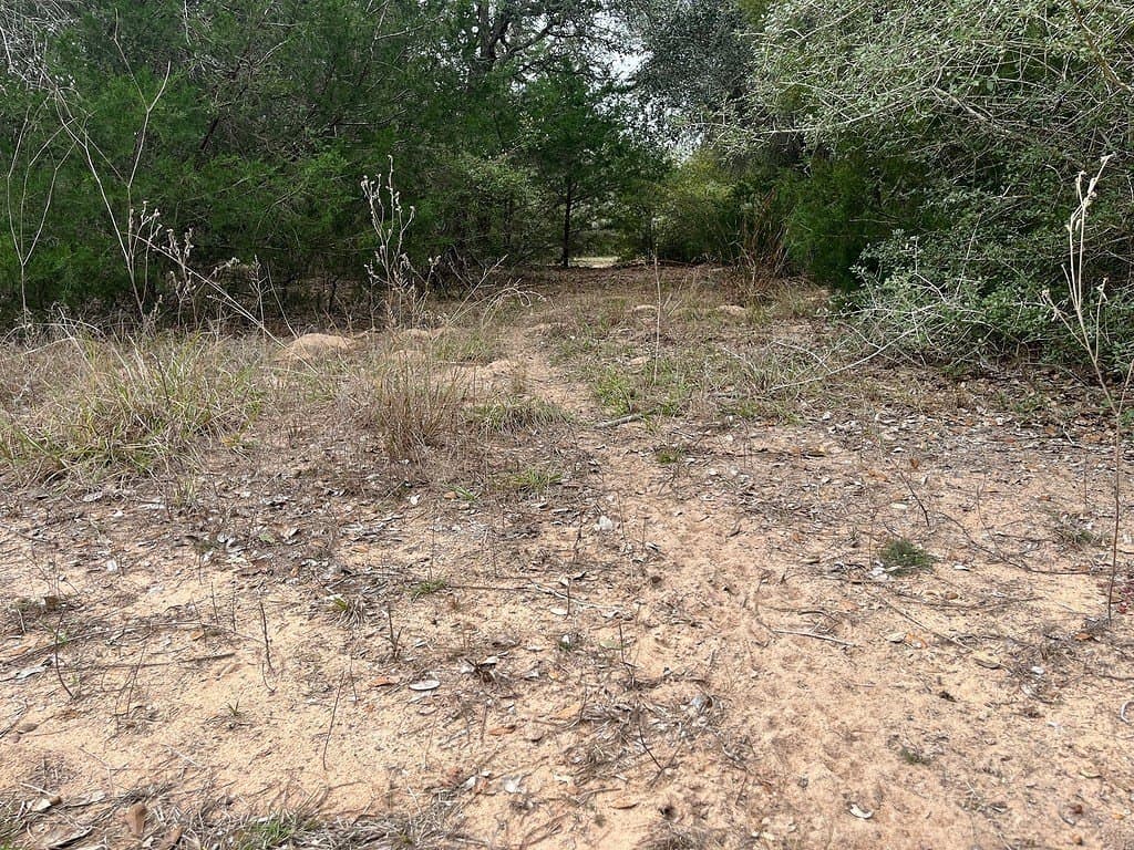 48.74 acres in Lavaca County - photo 17