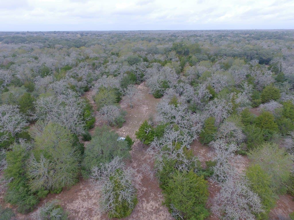 48.74 acres in Lavaca County - photo 15