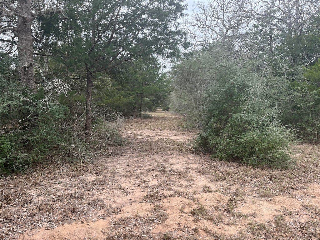 48.74 acres in Lavaca County - photo 3