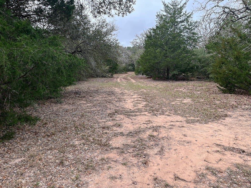 48.74 acres in Lavaca County - photo 18