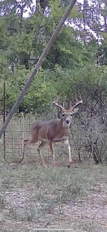 48.74 acres in Lavaca County - photo 30