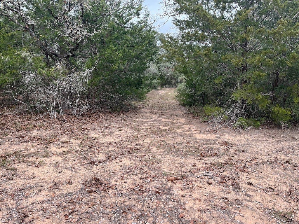 48.74 acres in Lavaca County - photo 19