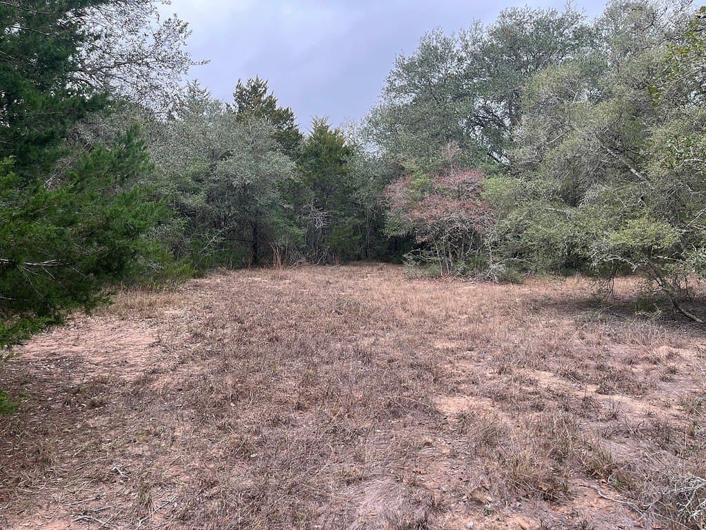 48.74 acres in Lavaca County - photo 14