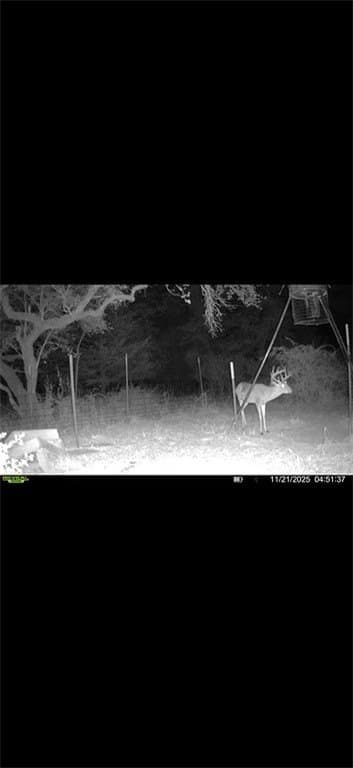 48.74 acres in Lavaca County - photo 27
