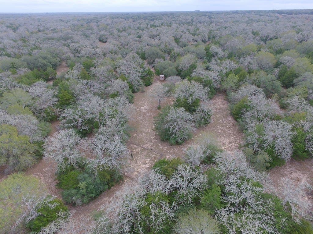 48.74 acres in Lavaca County - photo 20