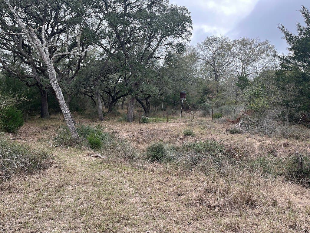 48.74 acres in Lavaca County - photo 7