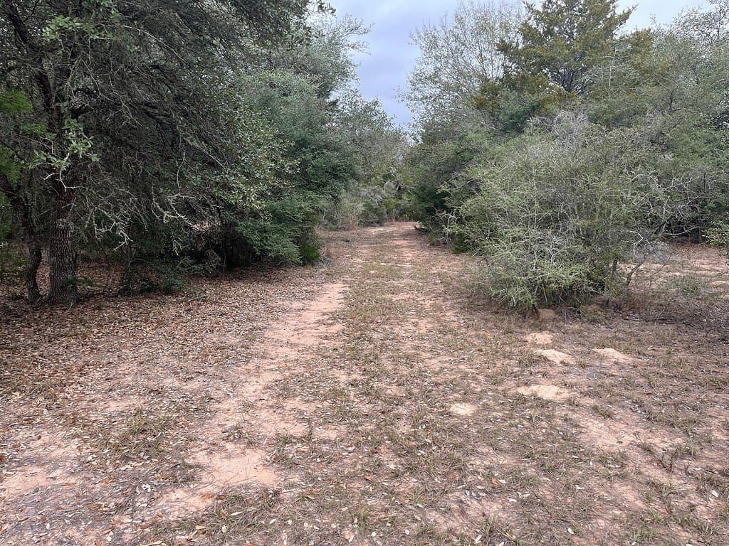 48.74 acres in Lavaca County - photo 16