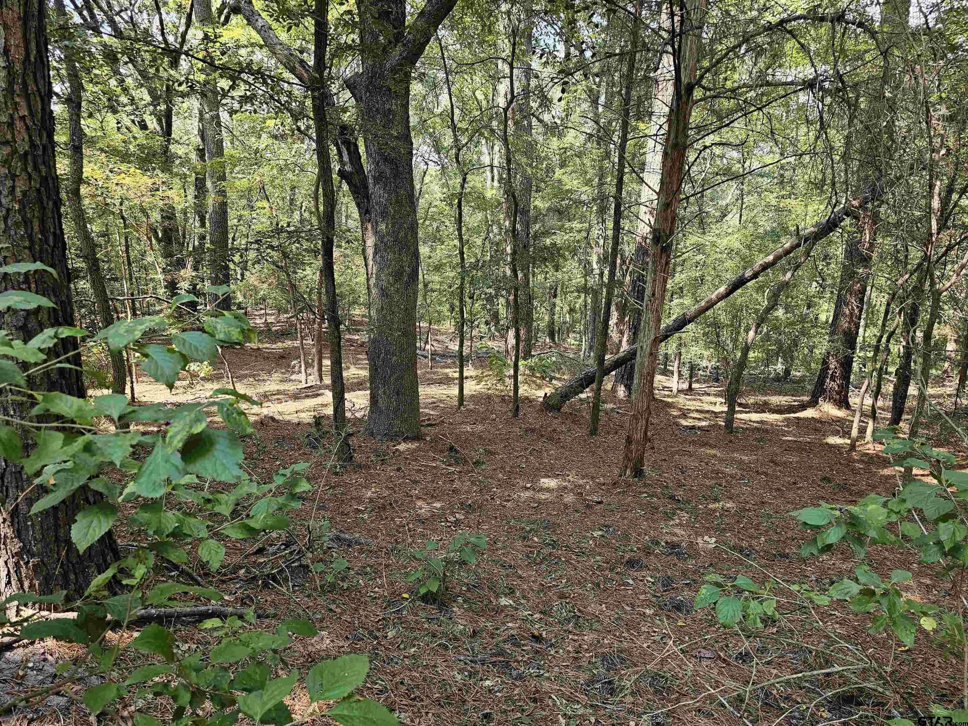 123.79 acres in Smith County - photo 7