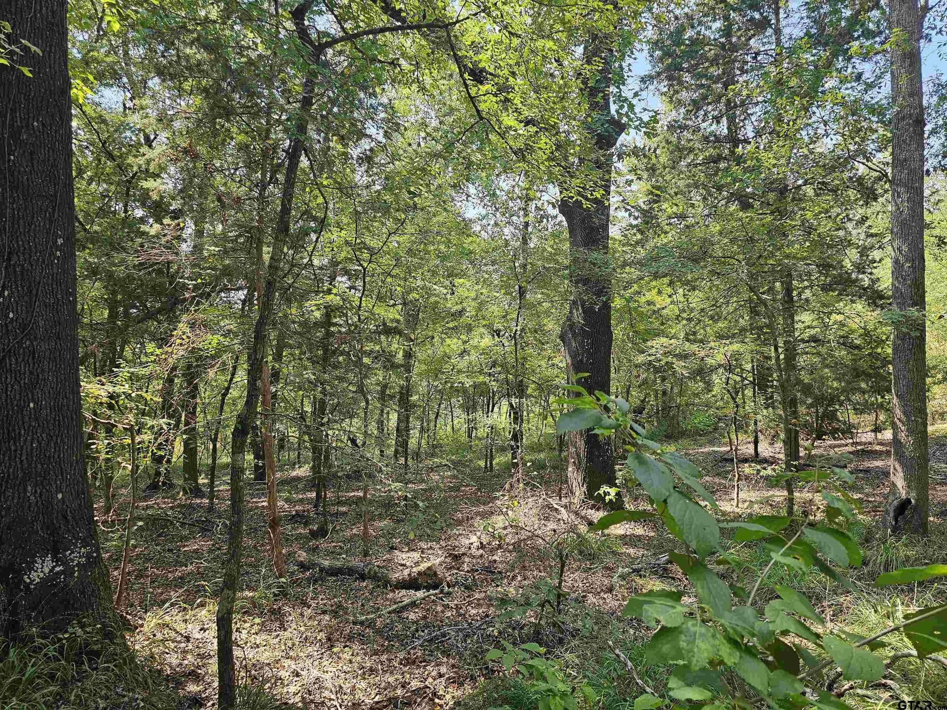 123.79 acres in Smith County - photo 3