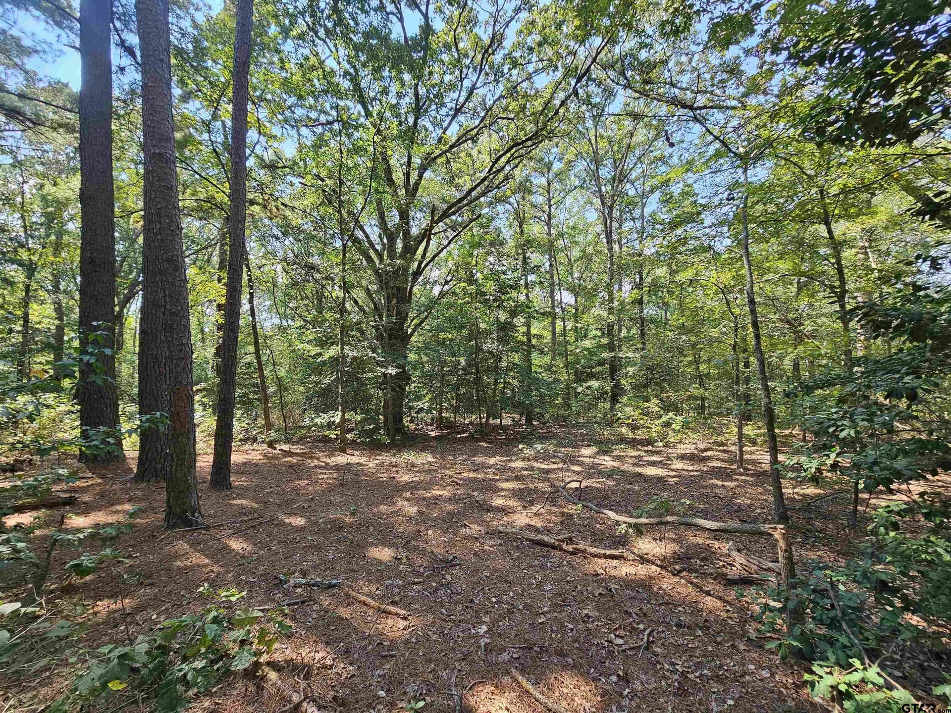 123.79 acres in Smith County - photo 9