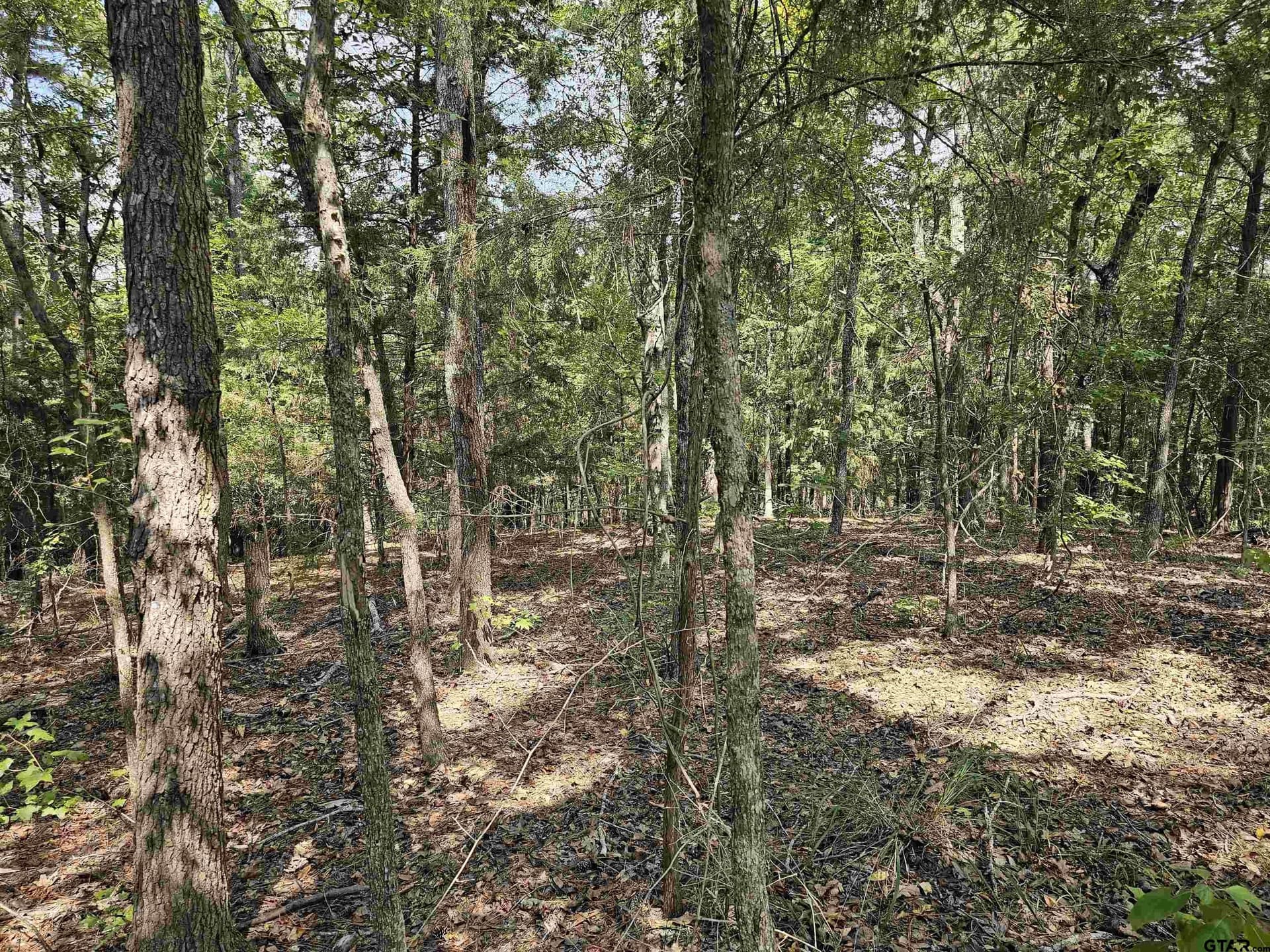 123.79 acres in Smith County - photo 6