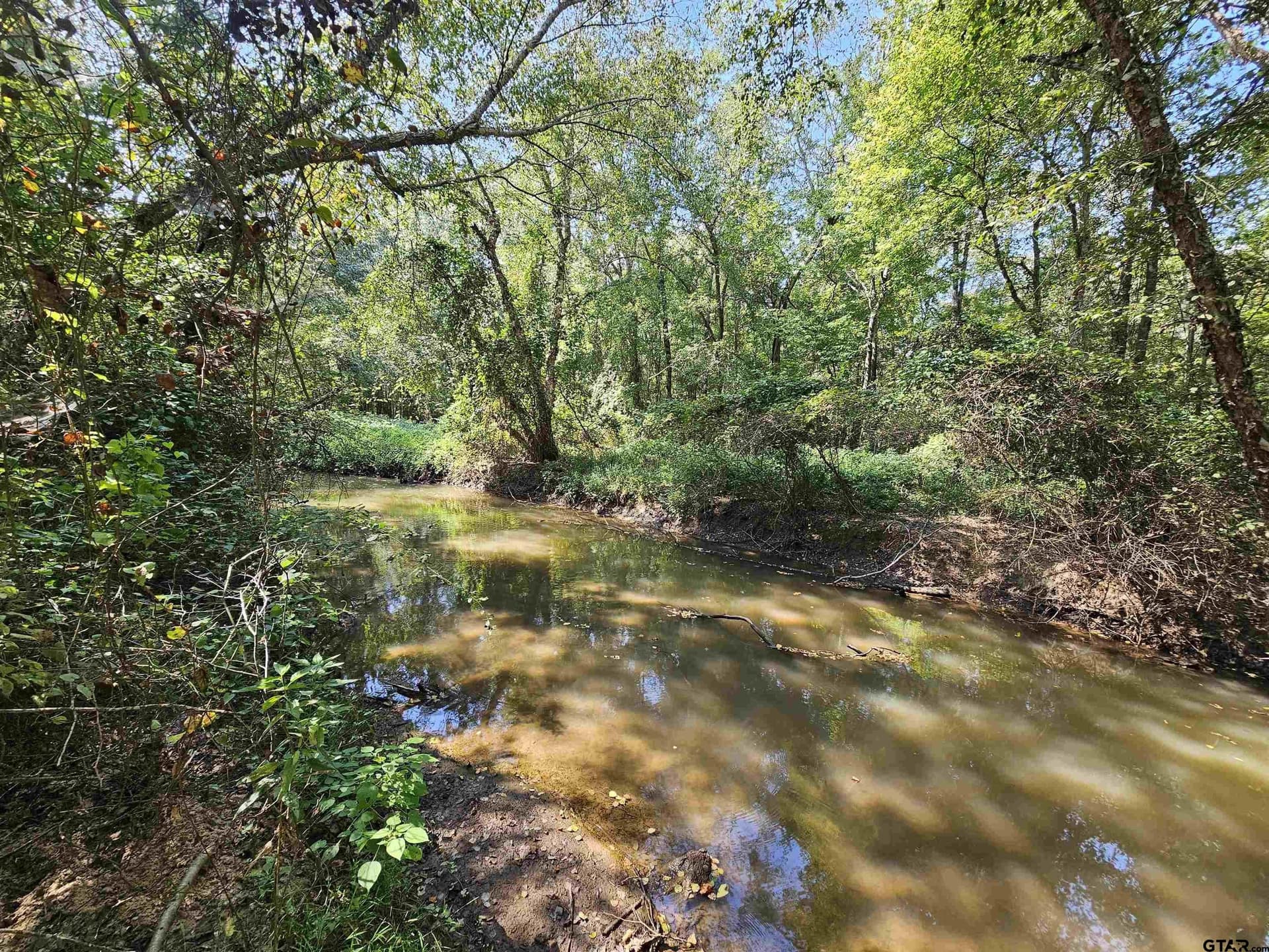 123.79 acres in Smith County - photo 16