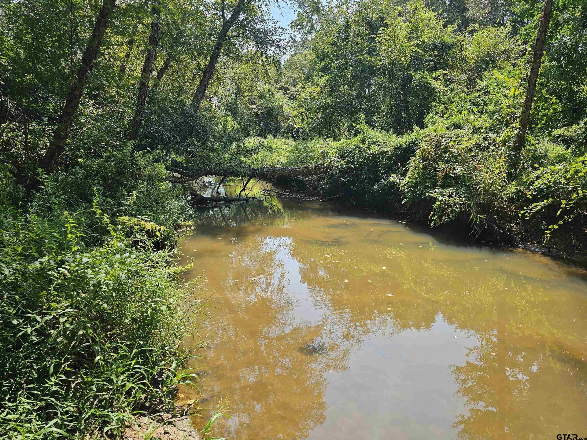 123.79 acres in Smith County - photo 13