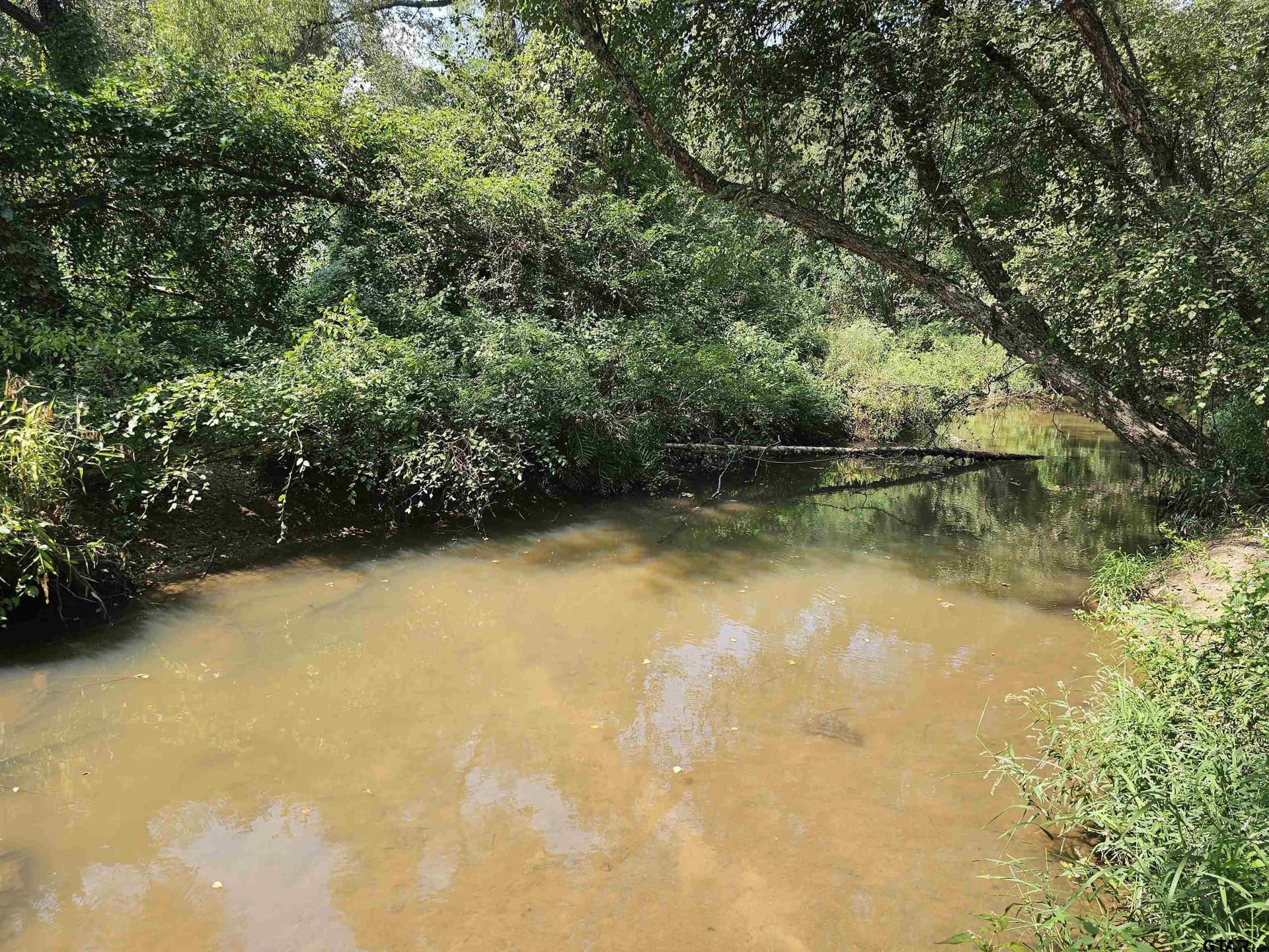 123.79 acres in Smith County - photo 14