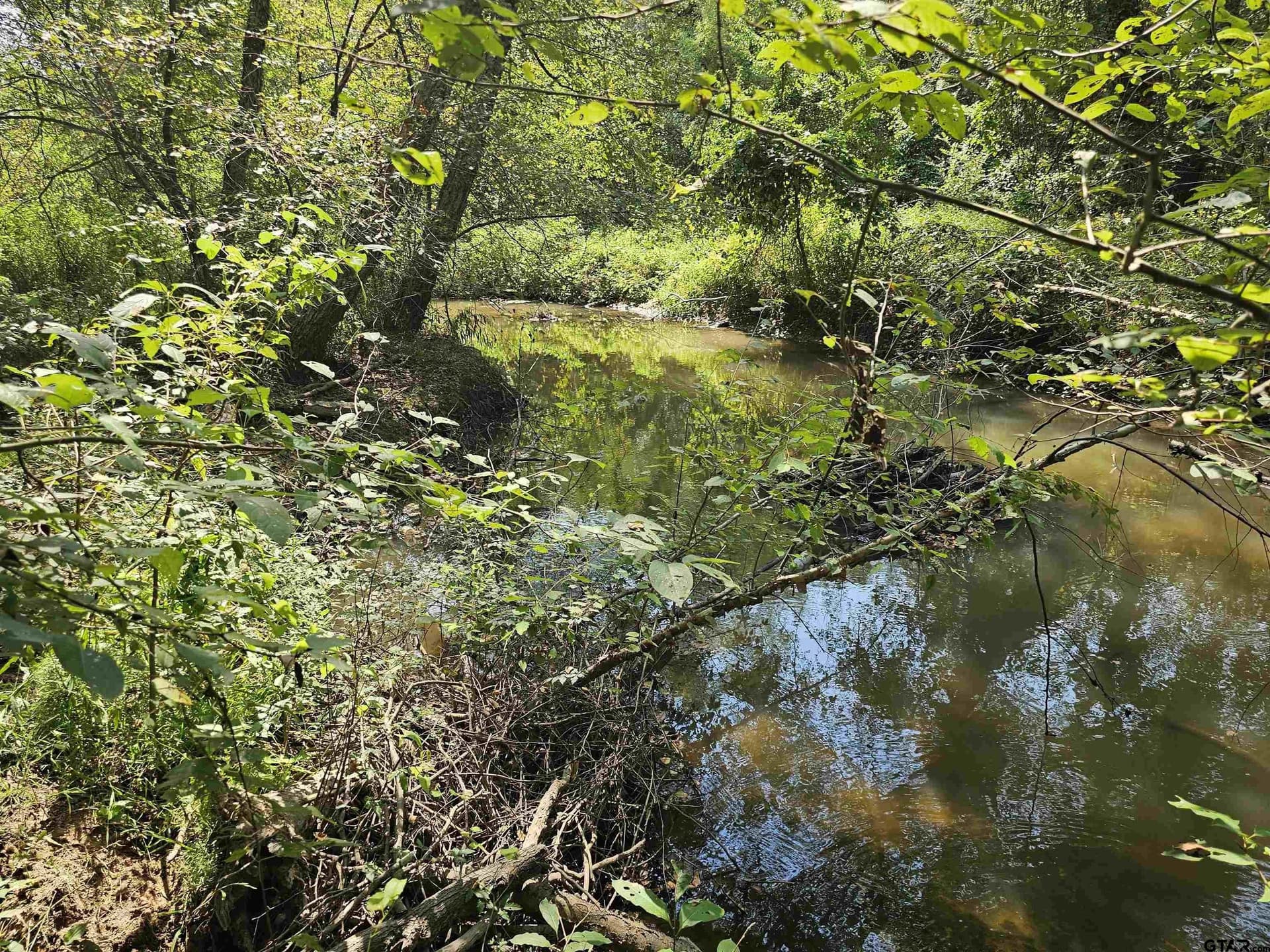 123.79 acres in Smith County - photo 12