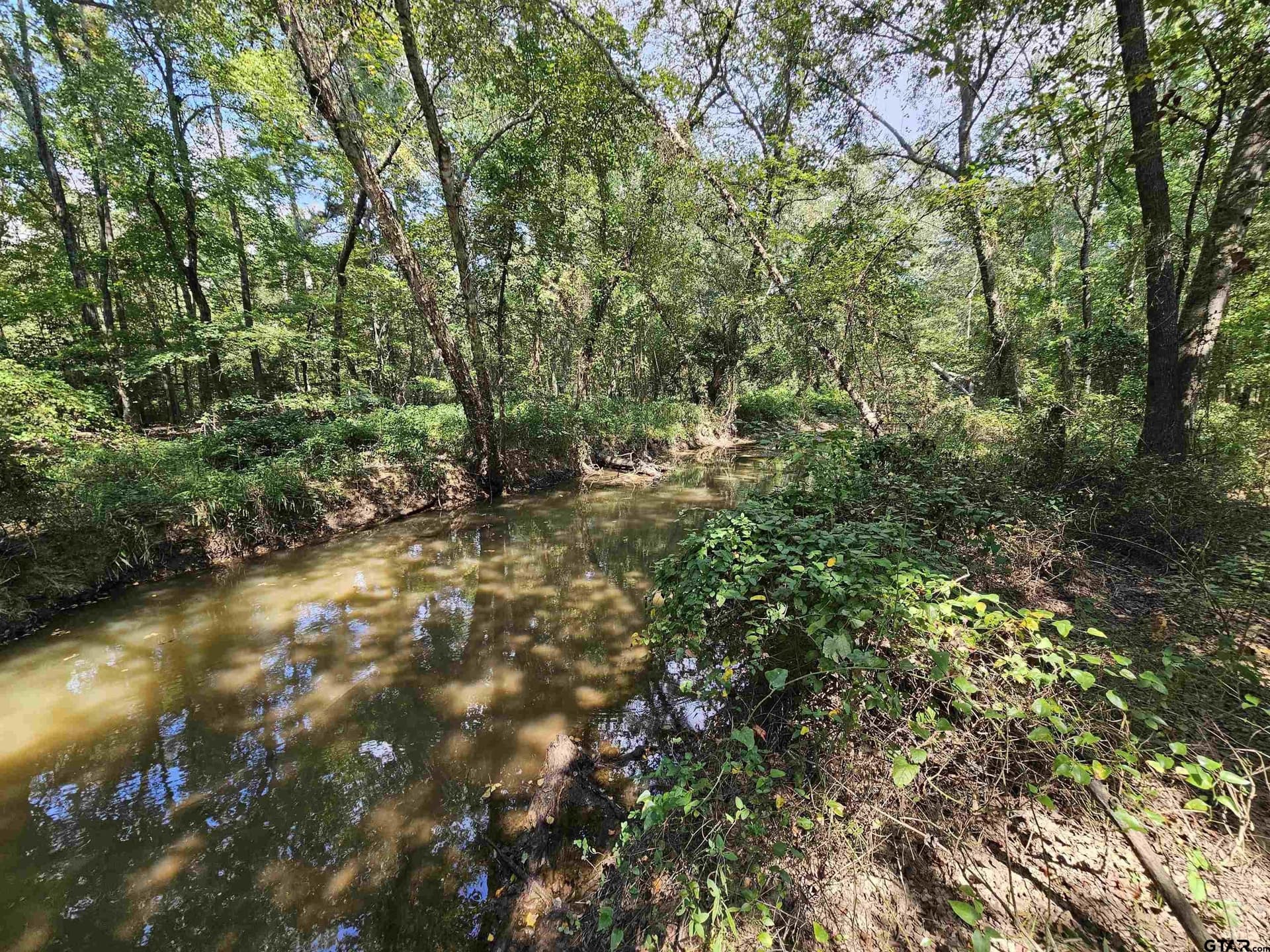 123.79 acres in Smith County - photo 15